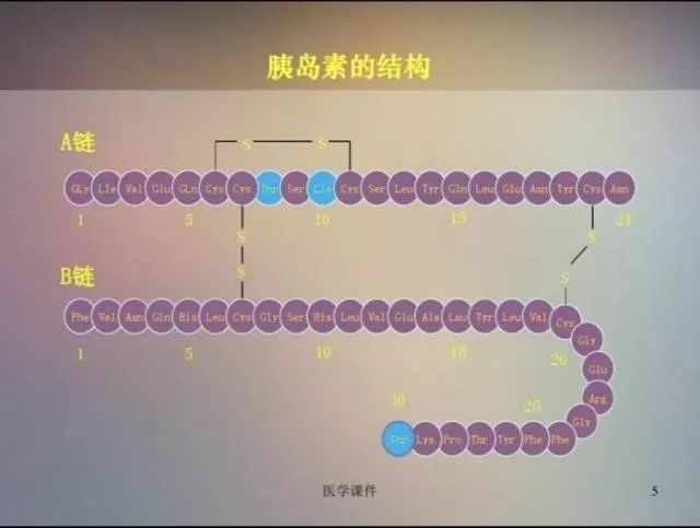 【叙事药学】“冰箱门”惹的祸