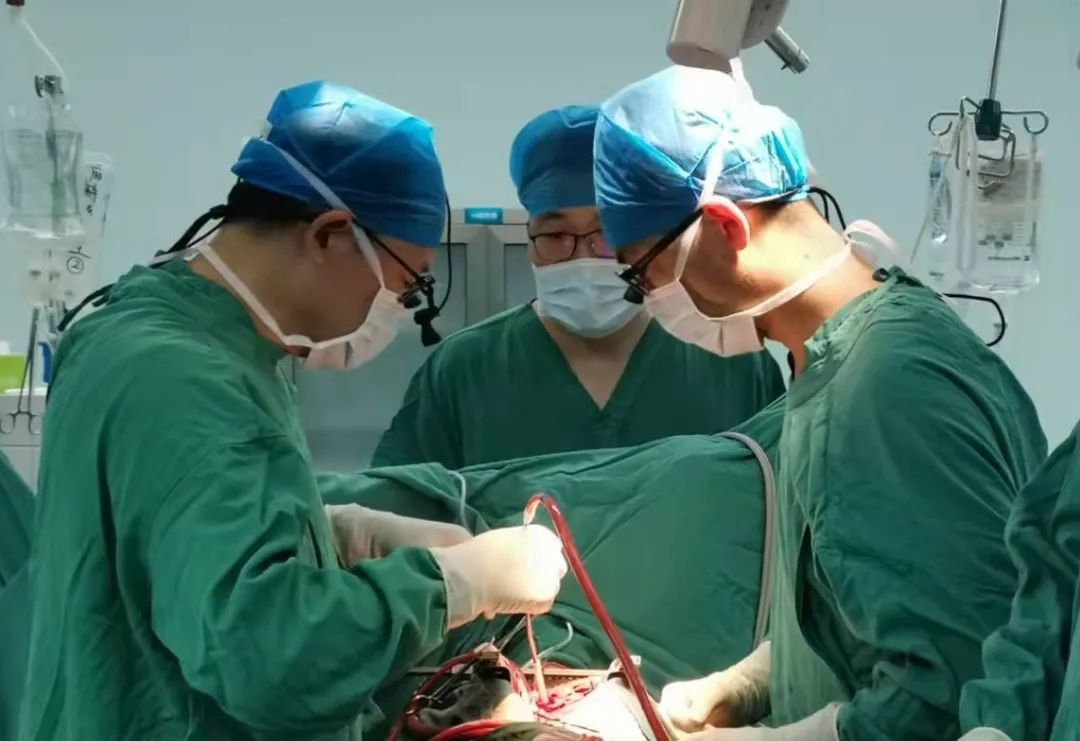 年轻患者遇上致命“主动脉夹层” 淄博市中心医院紧急手术成功“拆弹”